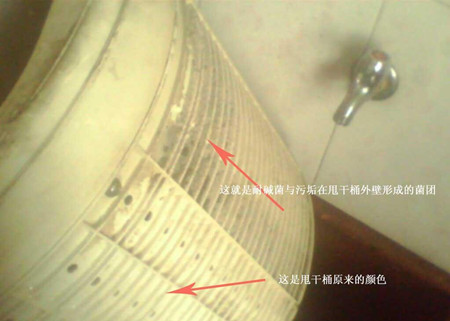 如何清洗洗衣机